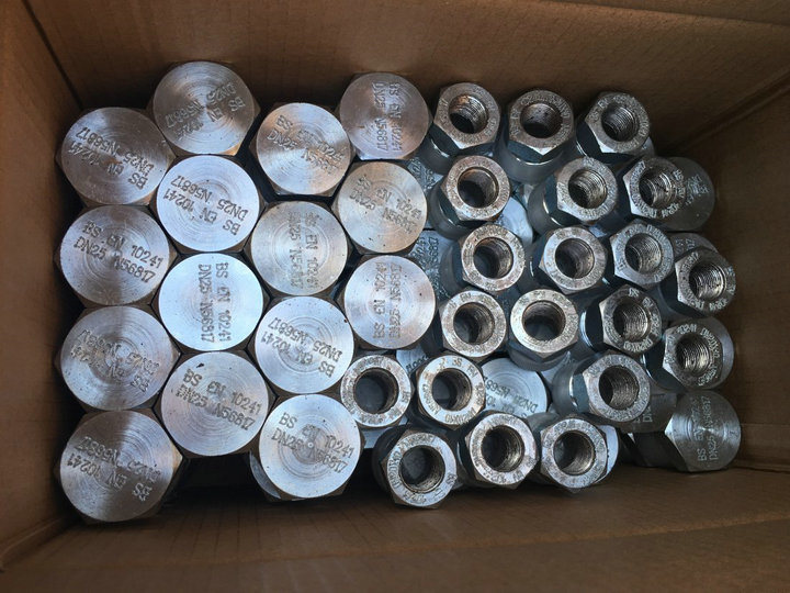 En10241 Threaded Pipe Fittings, Thread Steel Pipe Fittings