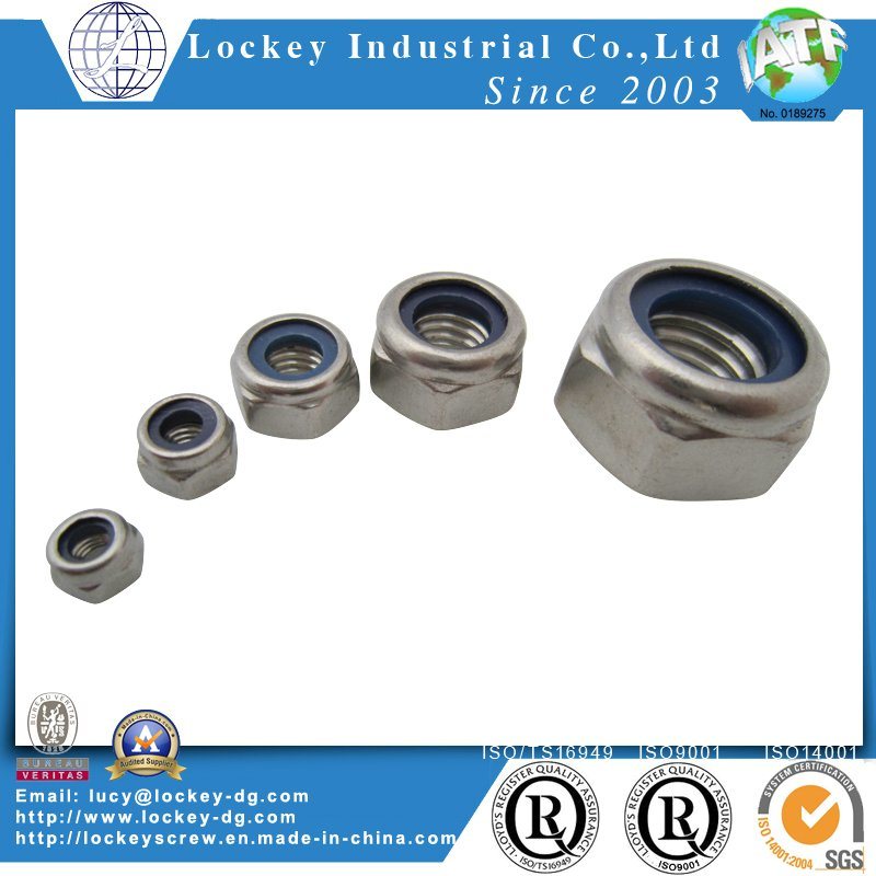 Passivated Stainless Steel Nut, Hex Nut, Flange Hut, Nylon Nut, Cap Nut, Wing Nut