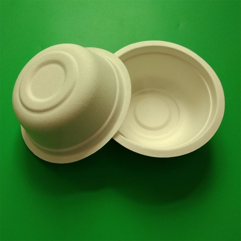 Disposable Biodegradable Sugarcane Bagasse Paper Tableware