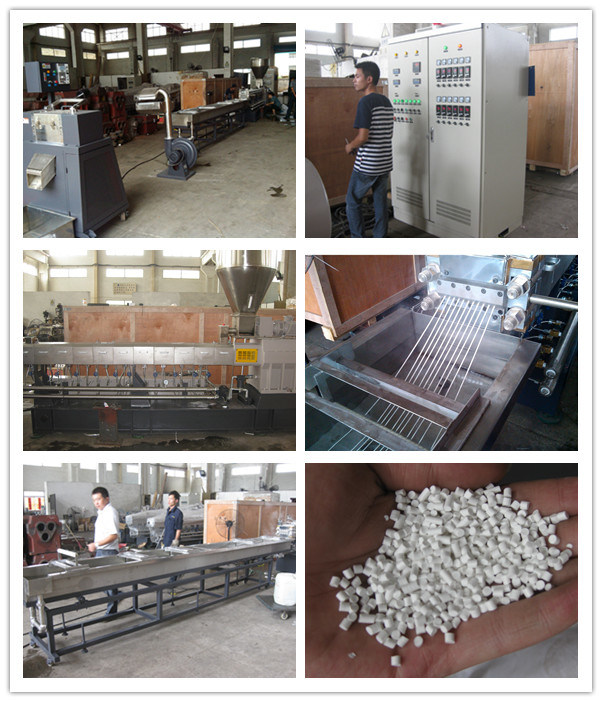 PP +70% CaCO3 Filler Masterbatch Machine, Co-Rotating Twin Screw Extruder