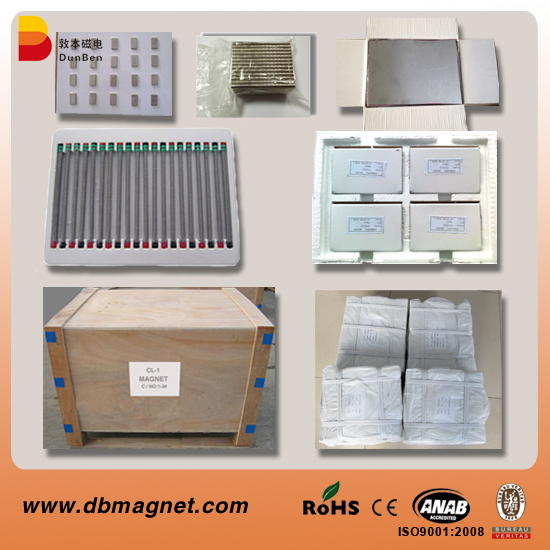 Strong Power Segment Neodymium Magnets