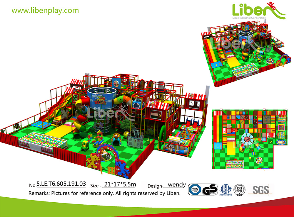 Small Indoor Play Structure Family Indoor Entertainment Center for Kids