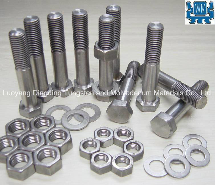 Pure Molybdenum Screw for Vacuum Furnace