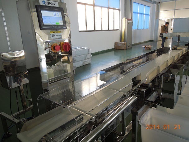 Automactic Customzied Machine for Weighing and Sorting