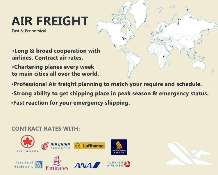 Professional Shipping Service From China to Europe