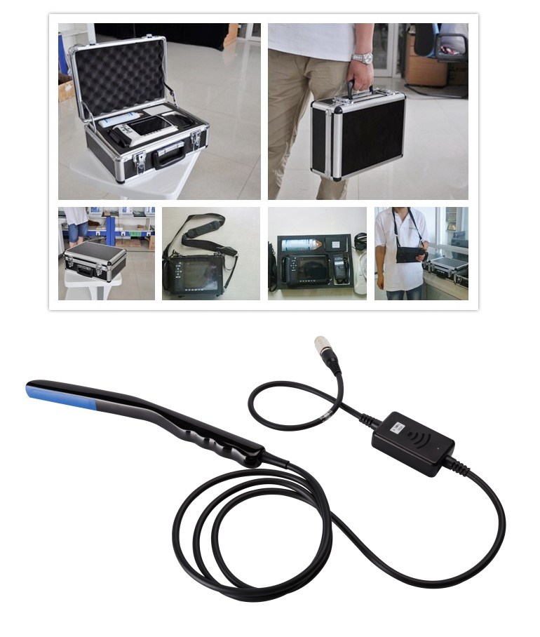 Mslvu22 Promotion Animal Ultrasound Machine Vet Ultrasound Device