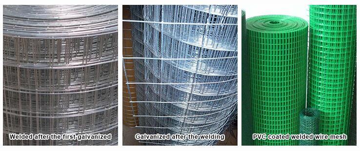 6mm Steel Bar Welded Wire Mesh Steel Reinforcing Concrete Welded Wire Mesh