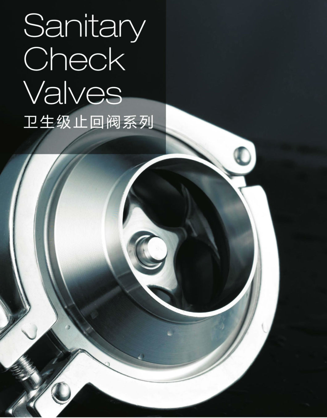 Sanitary SS304 SS316 Food Grade Check Valves Types, Pressure Safety Valves