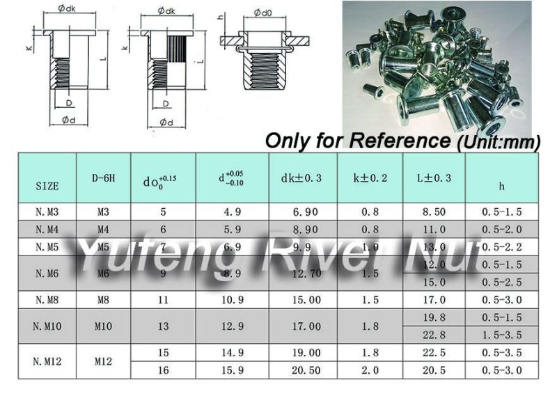 Zinc Plated Flat Head Rivet Nut Knurled Body/Round Body /Semi-Hexagonal