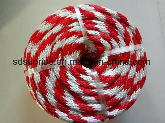 PE PP Polyester Nylon Braided Rope in Coil Hank Reel