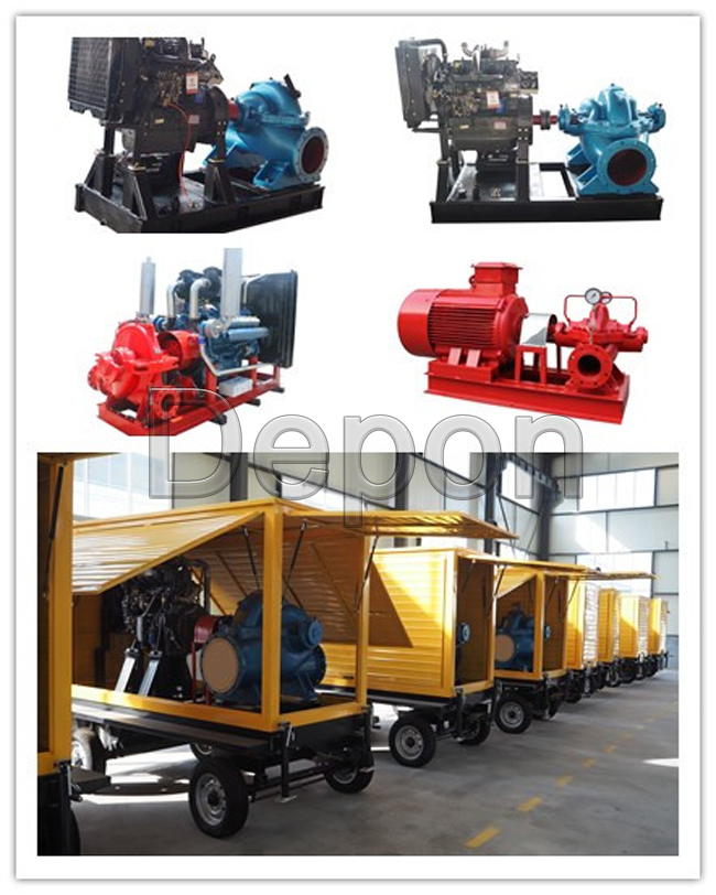 High Flow Double Suction Water Pump