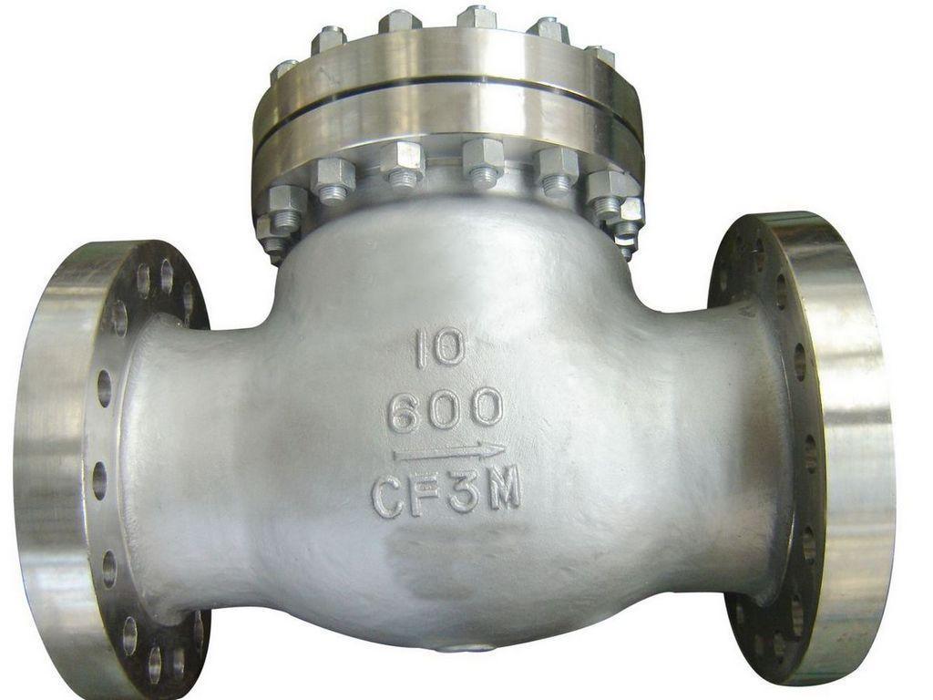 Pressure-Seal Swing Check Valve 900lb~2500lb