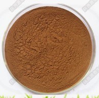 Factory Supply High Purity 95% Herbal Extract Quercetin Powder