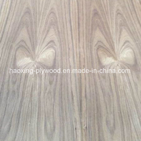 Beautiful Butterfly Grain Teak Plywood for Furniture