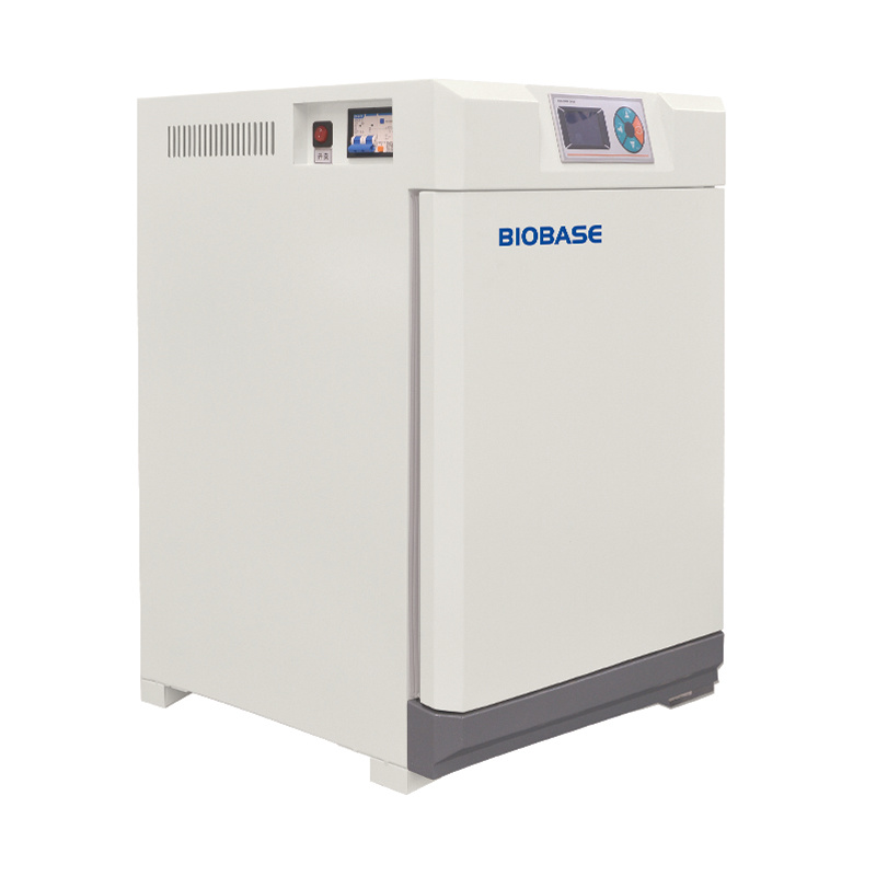 Biobase Large Capacity Vertical Type Constant Temperature Incubator