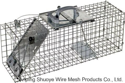 Humane Rabbit Rat Mink Grey Squirrel Small Raccoon Possum Cat Folding Live Animal Cage Trap