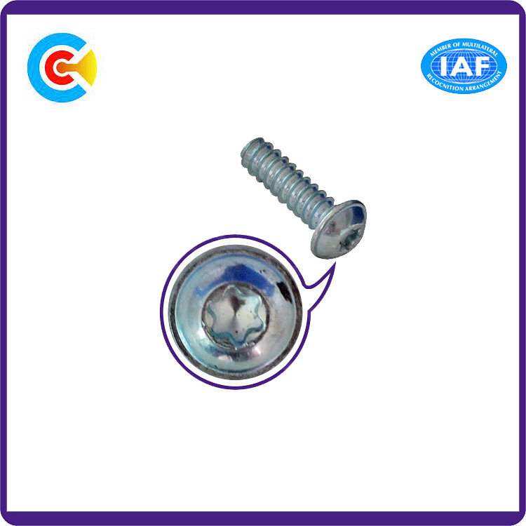 Steel/4.8/8.8/10.9 Flower/Cinquefoil Pan Head Inch Self Tapping Screws with Washer