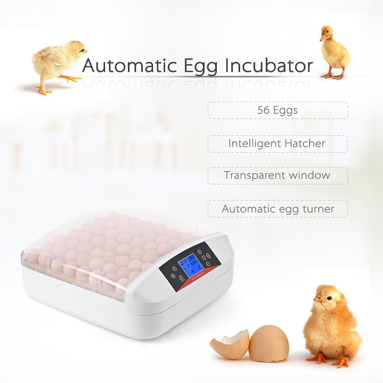 Hhd Automatic 56 Chicken Eggs Incubator with LED Light