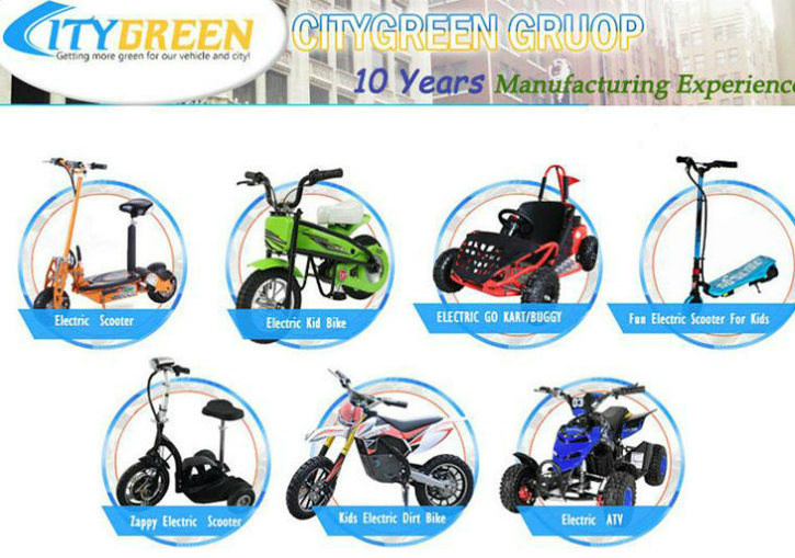 2000W Brushless Motor Electric Vehicles for Teenager