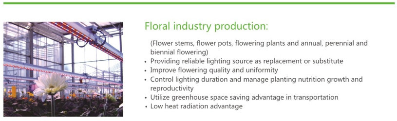 LED Grow Flat Panel Light 36W