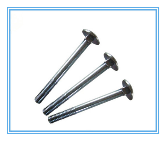Stainless Steel DIN603 Mushroom Head Square Neck Carriage Bolt
