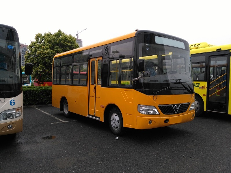 China High Quality 10-40 Seats School Bus