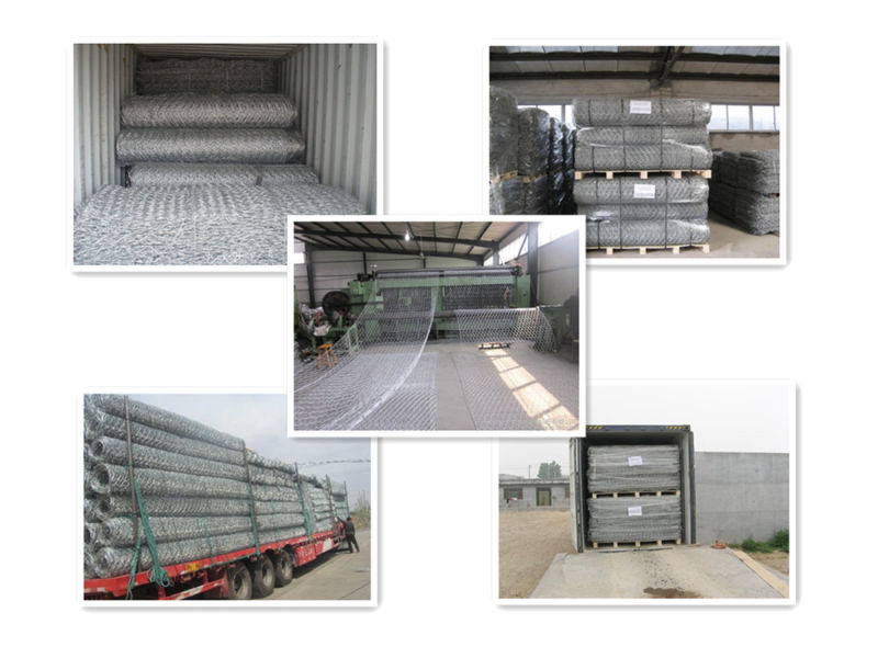 Hexagonal Gabion Mesh (ISO standard 20 years factory)