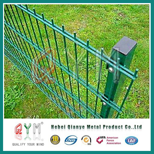 Double Loop Wire Mesh Fence/Metal Double Wire Garden Fence