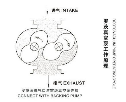 Zjp Series Roots Vacuum Pump/Roots Vacuum Blower/Roots Vacuum Booster