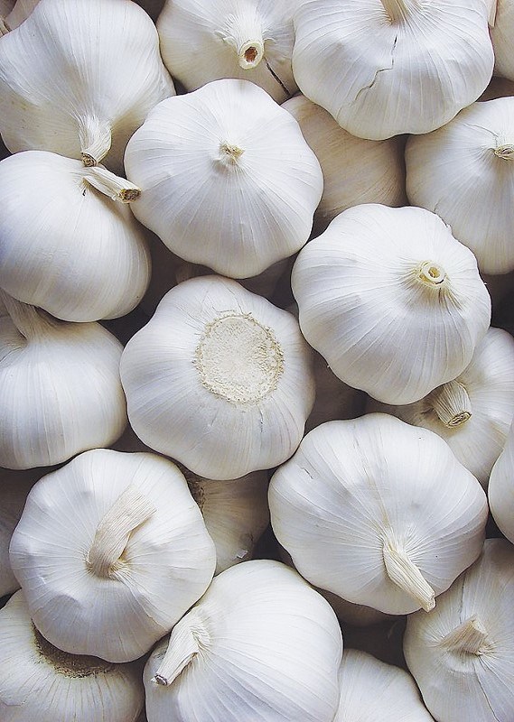 Pure Garlic with Good Quality and Price