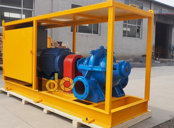 China Cast Iron 1000m3/Hr Double Suction Pump