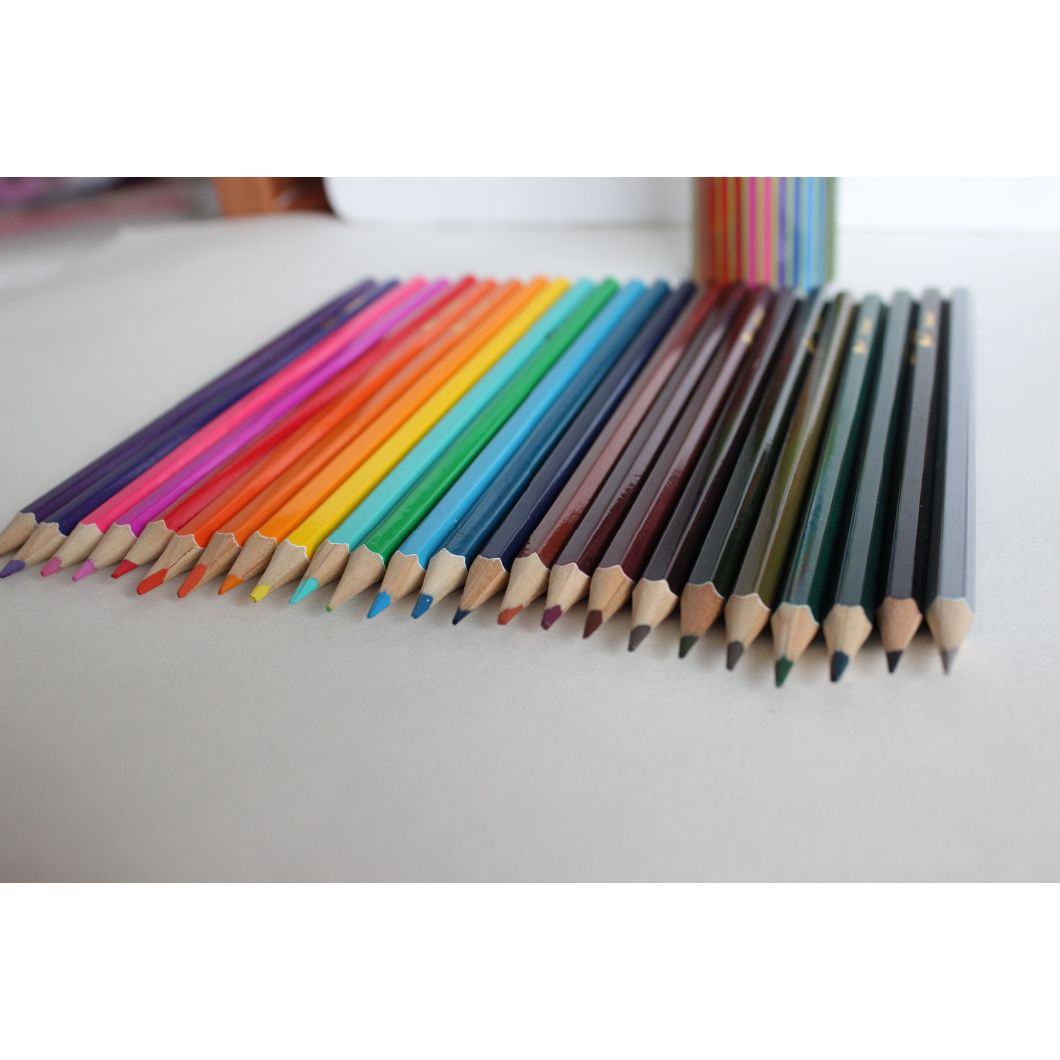 High Quality Level 24 Color Pencils in Tin Tube, Color Pencil Set
