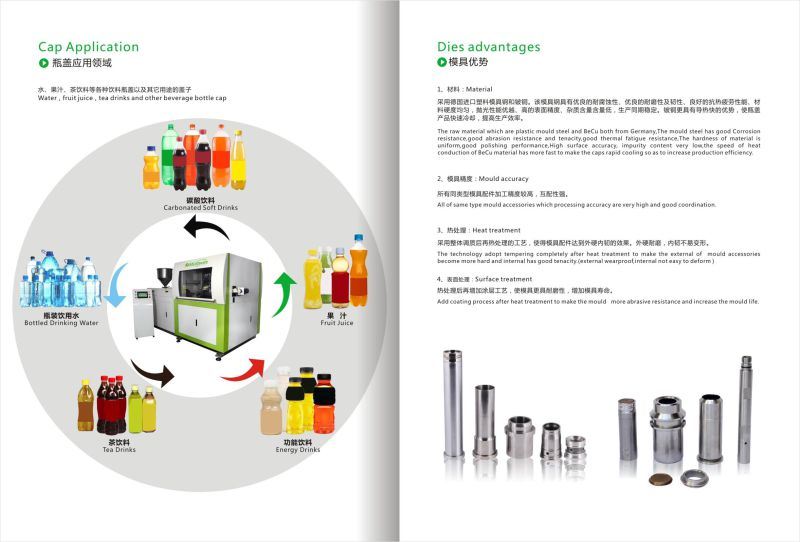 Equipment for Plastic Bottle Cap Molding Making with High Speed in Shenzhen, China