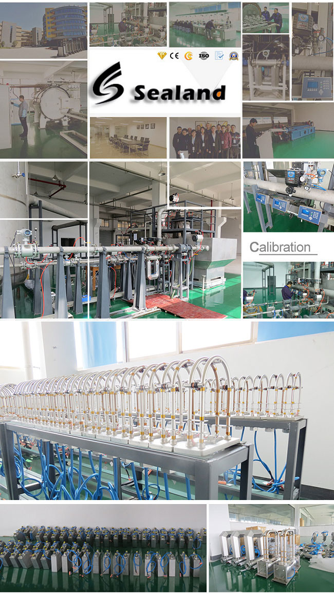 Coriolis Liquid Mass Flow Meter for Diesel Fuel Oil