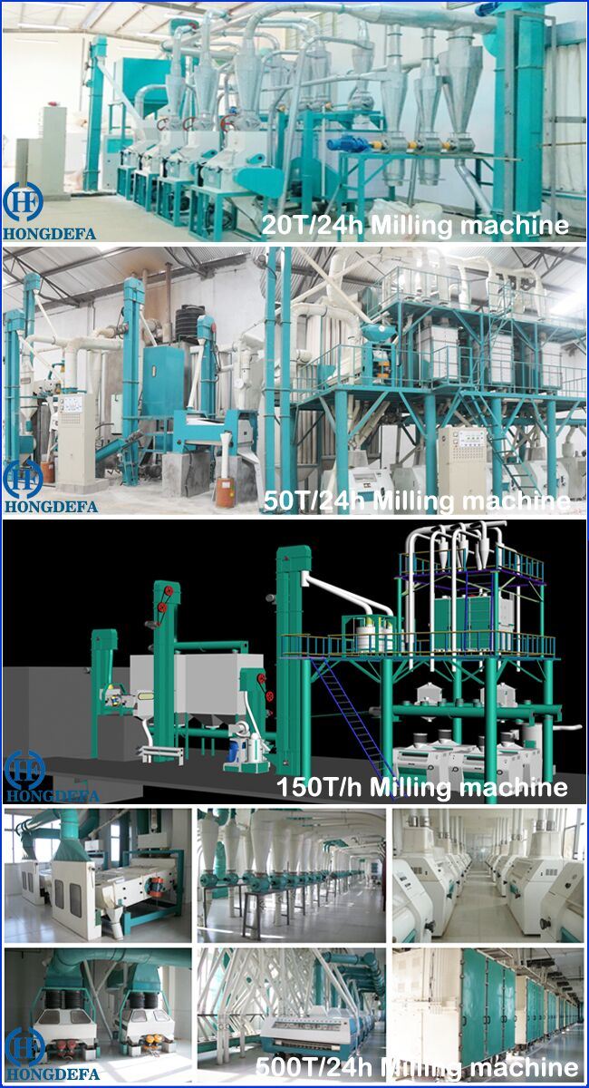 Maize Grits Grinding Corn Maize Flour Milling Mill Making Machines