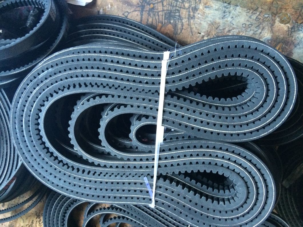 Cogged Belt 13vx1000/13vx975 Manufacturer of V Belt