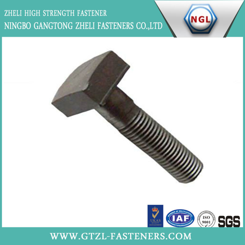 M5-M45 of Square Head Bolt with High Strength Steel