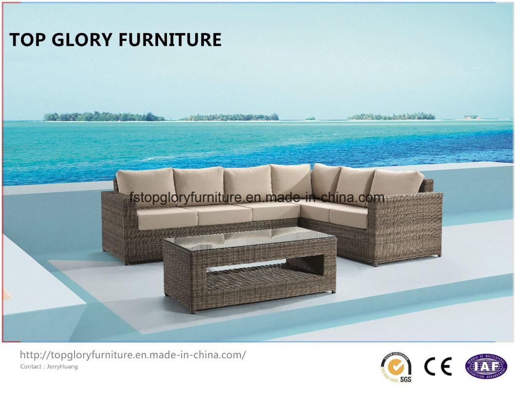 Outdoor Furniture Wicker Fashion Outdoor Leisure Sofa (TG-800)