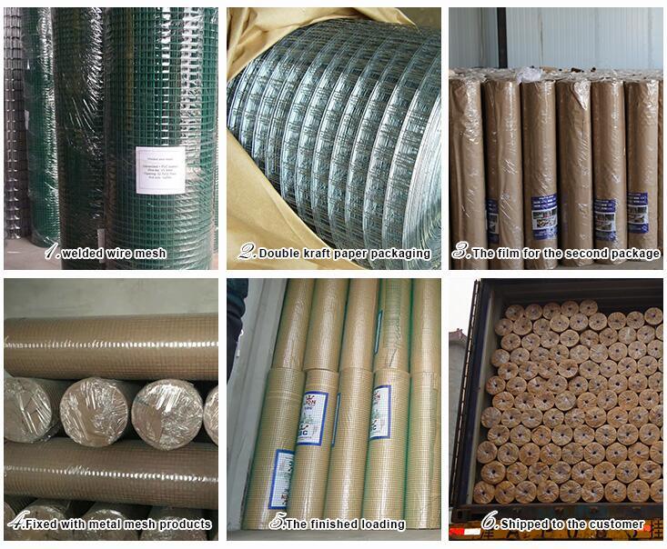 1X1 2X2 3X3 4X4 Galvanized Welded Wire Mesh (SWM)