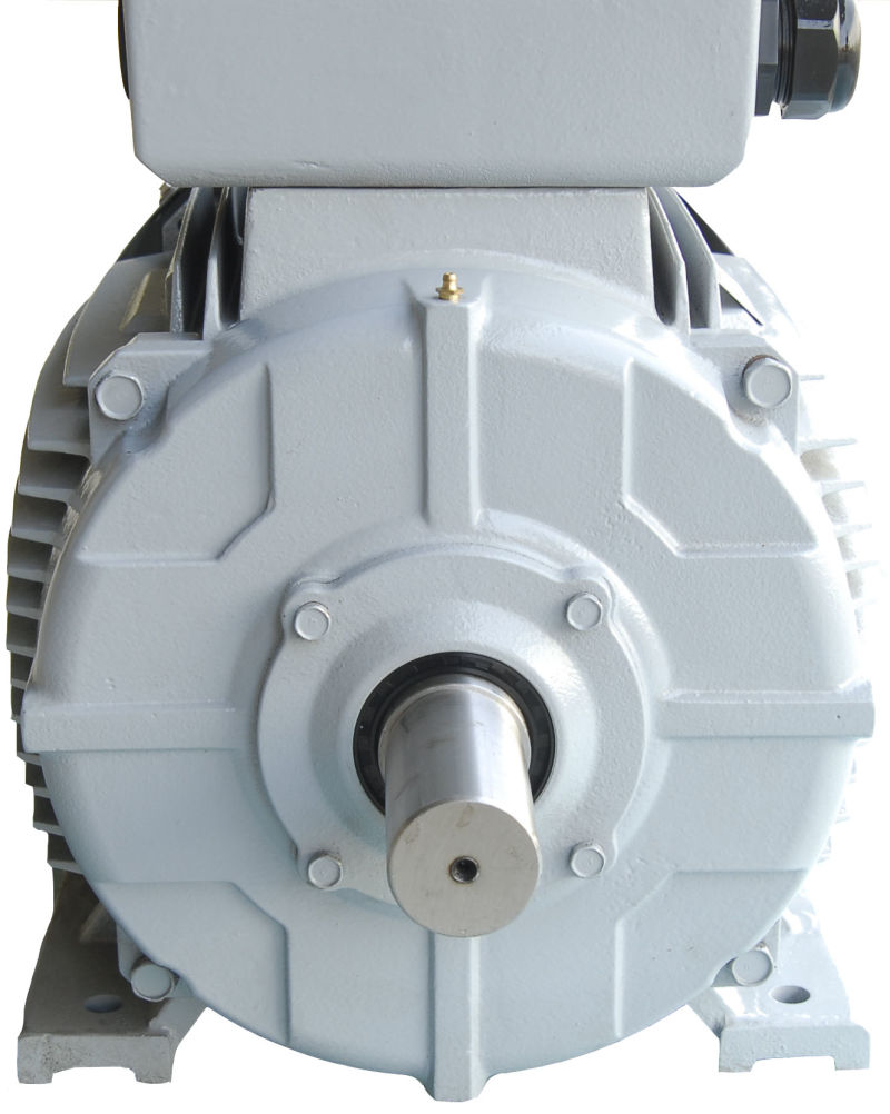 Ie2, Ie3 High Efficiency Three Phase Electric Motor