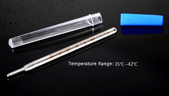 Mercury Oral Thermometer Yellow Colored