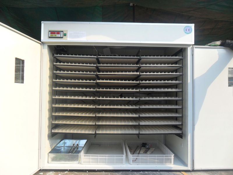 Energy-Saving Holding 5280 Chicken Eggs Incubators for Sale China