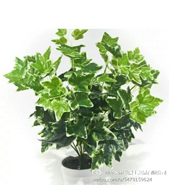 High Quality of Artificial Plants Fern and Other Bushes Cymera_201