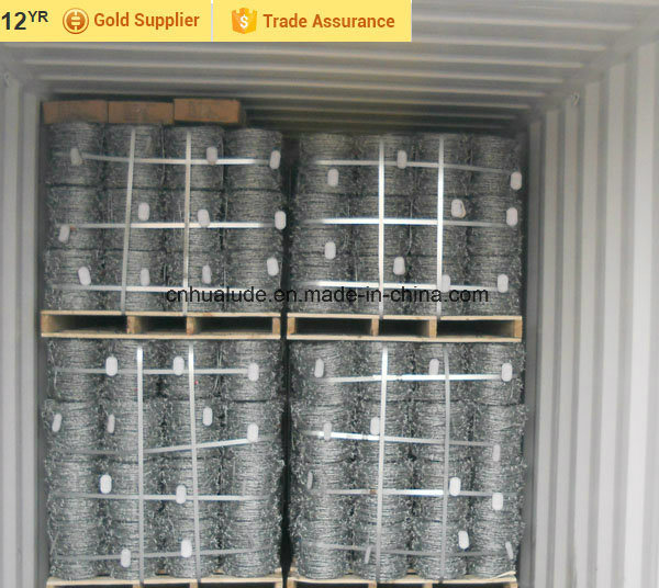 Hot Dipped Stainless Galvanized and PVC Coated Barbed Wire