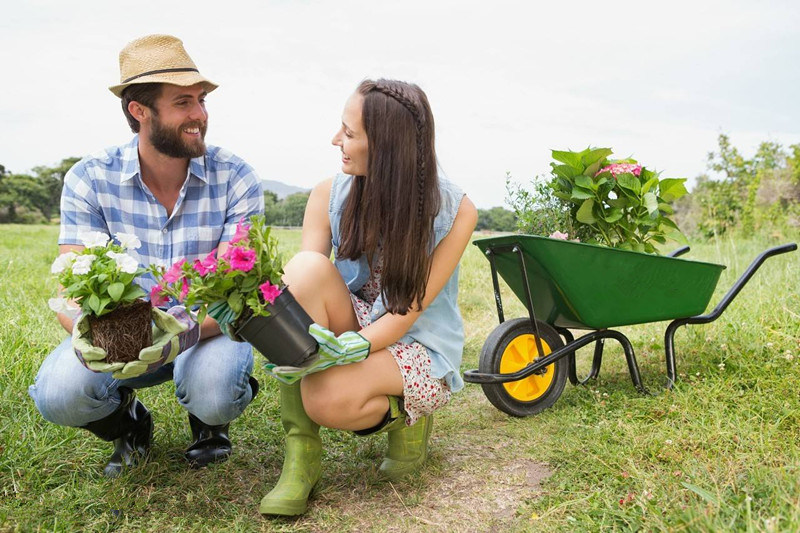 Hot Sale Construction and Garden Tools Wheelbarrow