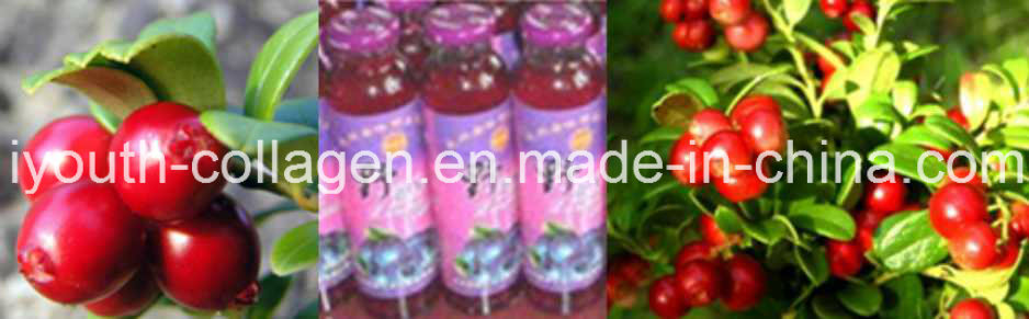 EU Quality Organic Red Cranberry Fruit Juice, Rich Anthocyanin, SOD, Anticancer, Anti-Aging, Antibacterial, Prevention of Gastric Cancer, Liver and Dementia,