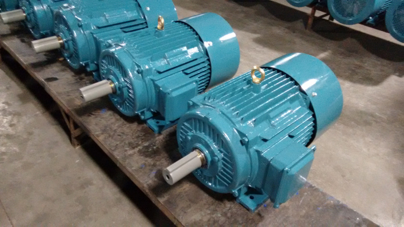 Ie2 Three-Phase Electrical Motor (TEFC, IP55)