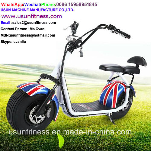 1500W Fat Wheel Tire Usun Harley Citycoco Ebike with Ce