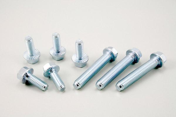 Hex Flange Head Bolt(DIN6921)