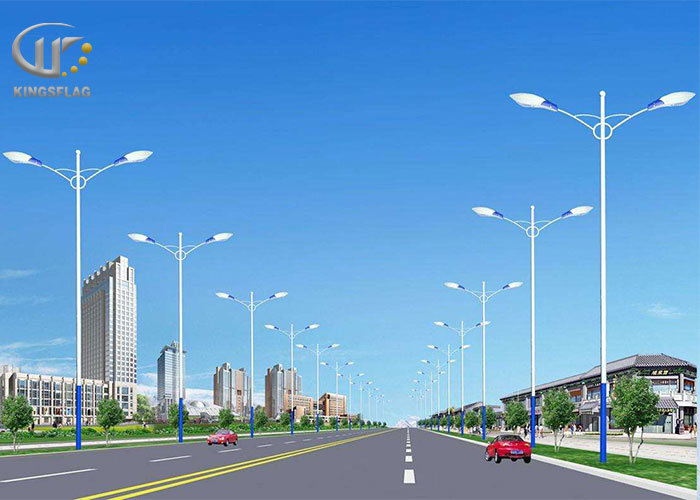 China Supplier Outdoor LED Decorative Street Lighting Pole